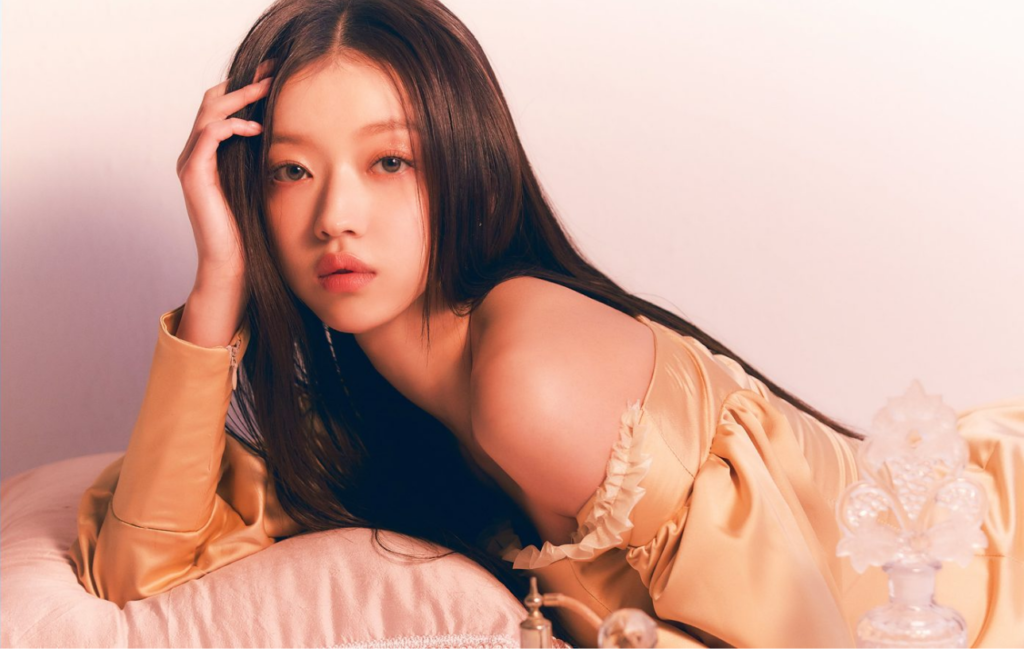 Cyberbulling en los Idols de K-pop y cómo ayudarlos 3 Crece el hate en los idols de K-pop