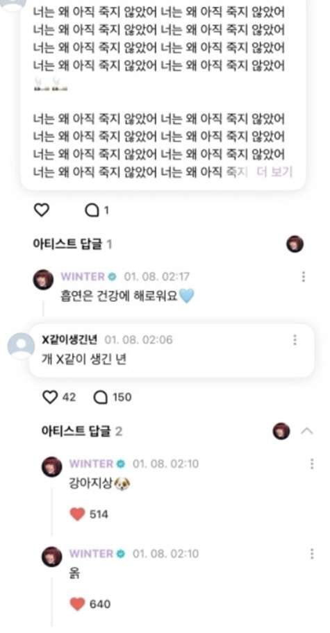 Cyberbulling en los Idols de K-pop y cómo ayudarlos 4 Winter recibió cyberbulling en weverse