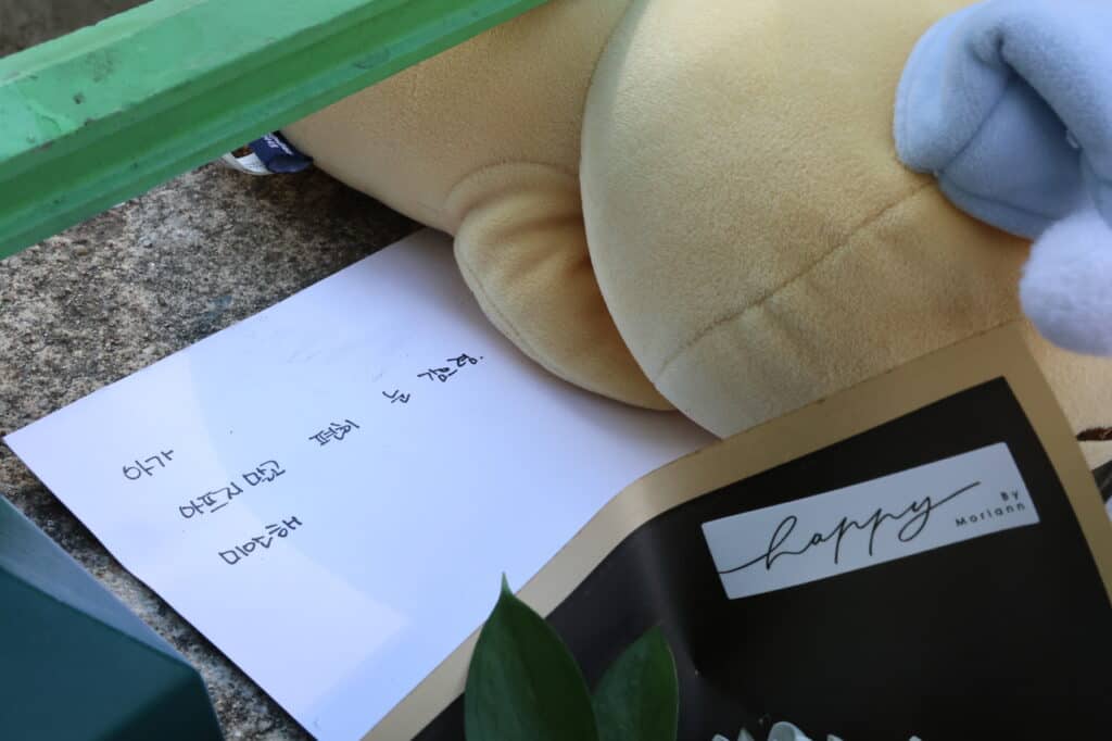 Una Maestra Apuñala a una niña de 8 años en Daejeon 2 Maestra asesina de Daejeon