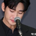 Kim Soo-hyun diarios intimos servicio militar